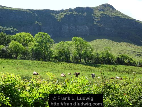 Manorhamilton Road